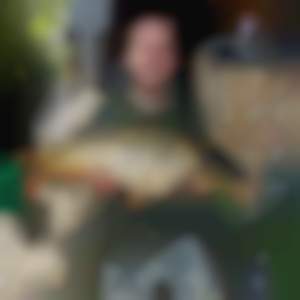 když berou........