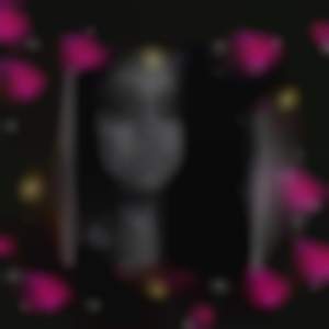 Bexi33