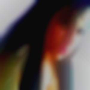 ja new