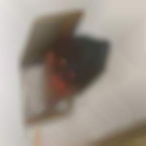 Papilon