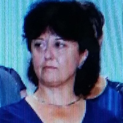 cernidlo