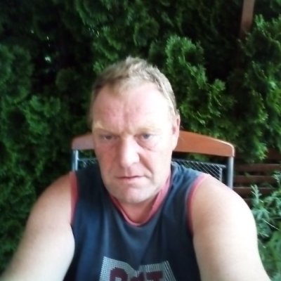 medvídek 31